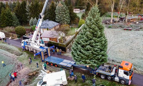 UT_Weihnachtsbaum_Berlin_2020-10-500x300