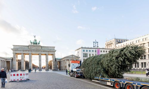 UT_Weihnachtsbaum_Berlin_2020-6-500x300